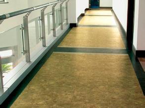 塑膠地板003-哈爾濱晟陽建筑裝飾(網站出售)